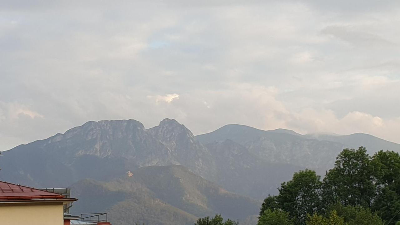 Villa Fortuna - Regionalne Apartamenty & Spa - Sauna, Grill, Jacuzzi Z Widokiem Na Tatry Zakopane Luaran gambar