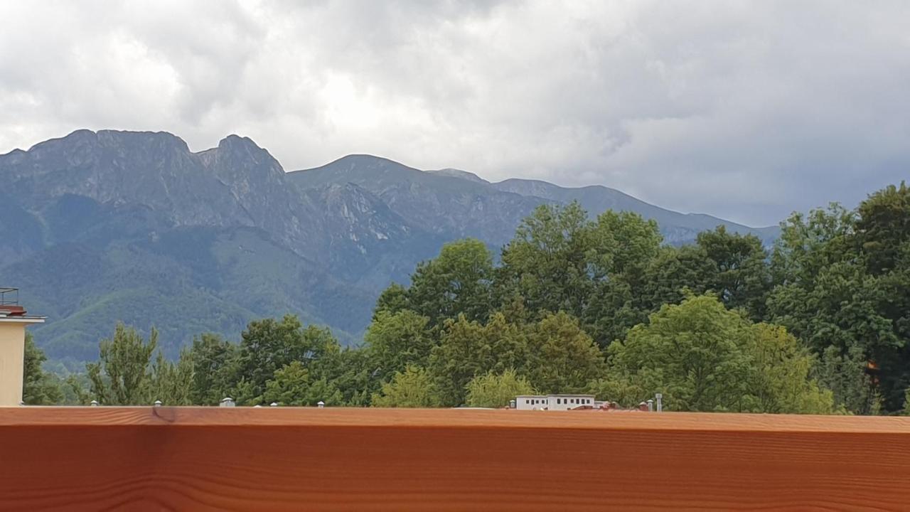 Villa Fortuna - Regionalne Apartamenty & Spa - Sauna, Grill, Jacuzzi Z Widokiem Na Tatry Zakopane Luaran gambar